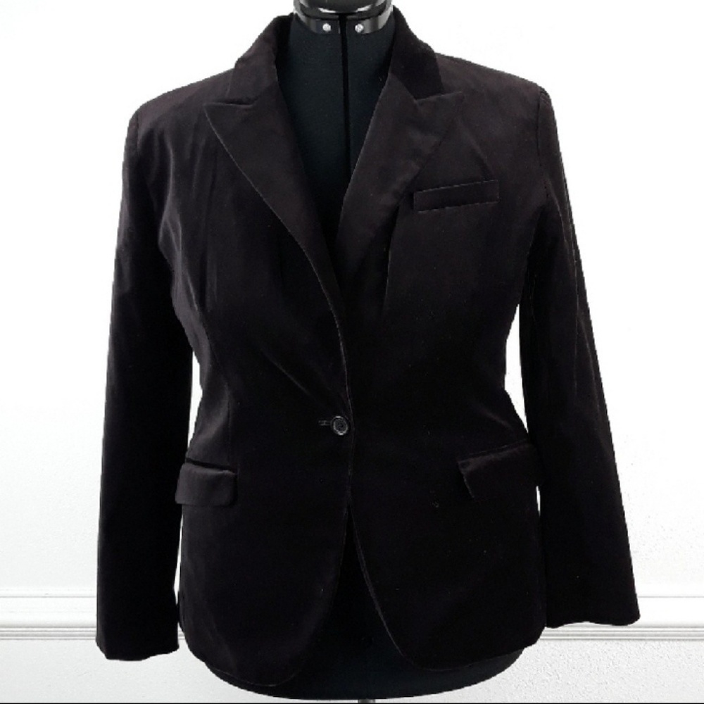 Velvet, Plum Color New York &Co Blazer